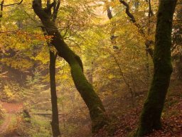 IMGP3813-Troldeslugten